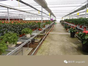 常见的温室大棚供暖设备