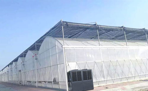 大棚水产养殖的恒温卫士 技术与应用解析