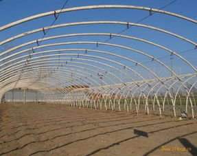 鑫农大棚骨架产品介绍及最新产品信息
