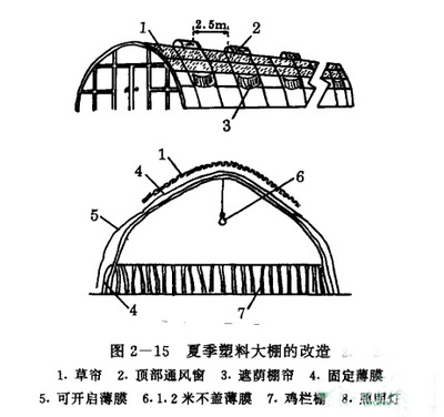 养鸡大棚三种类型详解 塑料大棚、简易大棚与大框架大棚对比解析