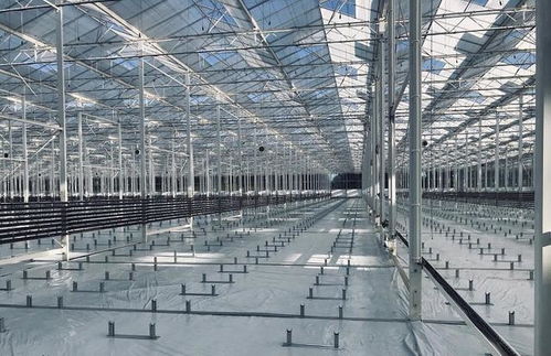 单体面积400亩,温室还是帝国